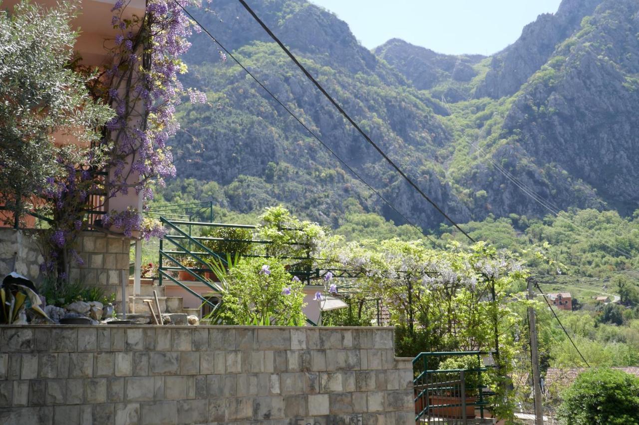 Ecohouse Risan Studio Екстериор снимка